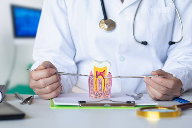 Best Weekend Emergency Dentist in Clton, IN